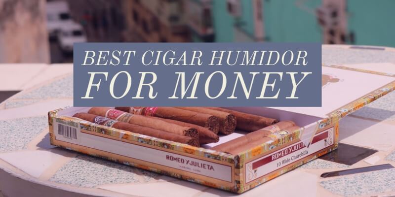best humidors for the money you can buy