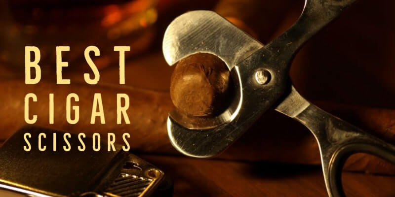 Best Cigar Scissors Reviews