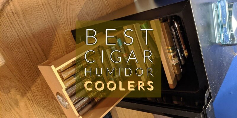 best Cigar Humidor Coolers
