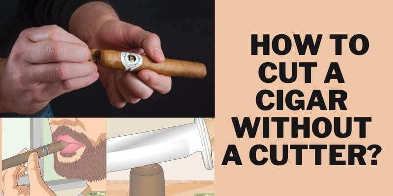 how-to-cut-a-cigar-without-a-cutter