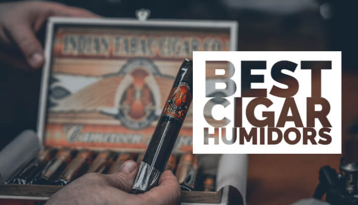 Best Cigar Humidors 2020