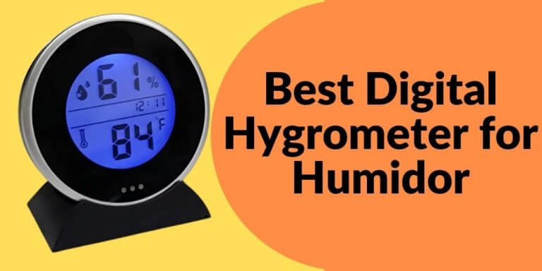 Best Digital Hygrometer for Humidor
